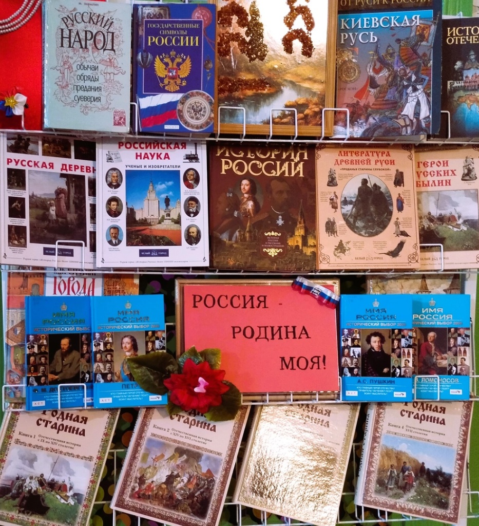 Книжная выставка в Нижнетоемской сельской библиотеке